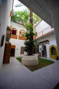 une cour avec un arbre au milieu d'un bâtiment dans l'établissement Riad O LY, à Marrakech