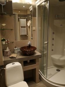 ein Bad mit einem WC, einem Waschbecken und einer Dusche in der Unterkunft Best Apartments Więzienna Monkeys in Breslau