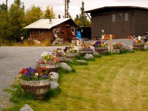 a row of flower pots in a yard with a log cabin at Arctic Chalet Resort in Inuvik