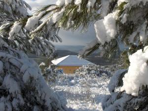 First Light Cabins durante l'inverno