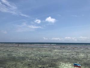 a beach with a kite flying over the ocean at Spheredivers Scuba & Leisure in Pulau Mabul 