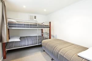 a bedroom with two bunk beds in a room at Otways Tourist Park in Gellibrand