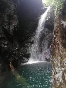 Φωτογραφία από το άλμπουμ του Posada El Acuario σε Bahia Solano