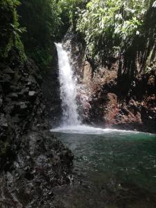 Φωτογραφία από το άλμπουμ του Posada El Acuario σε Bahia Solano