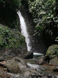 Φωτογραφία από το άλμπουμ του Posada El Acuario σε Bahia Solano +34 φωτογραφίες