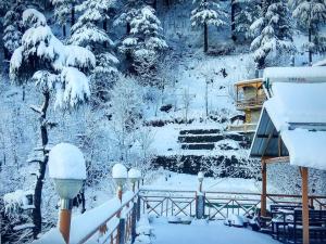 Soham's Chateau De Naggar - Manali v zimě