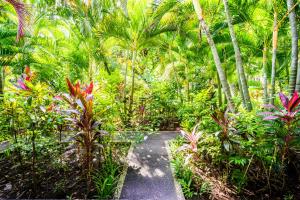 un sentiero attraverso una lussureggiante foresta verde con palme di Taman Selini Wahana Beach Resort a Pemuteran