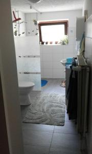 Bagno di Wikingerstadt 1