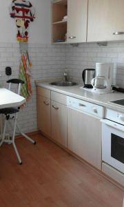 a kitchen with a sink and a counter top at Wikingerstadt 1 in Schleswig