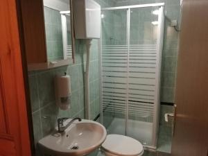 a bathroom with a sink and a toilet and a shower at Apartment House Papa in Vinica
