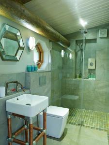 y baño con lavabo, aseo y ducha. en Treberfedd Farm Cottages and Cabins, en Lampeter