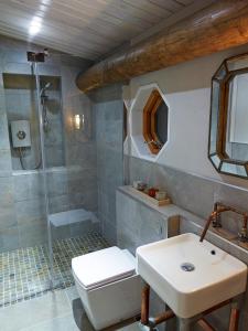 y baño con ducha, aseo y lavamanos. en Treberfedd Farm Cottages and Cabins, en Lampeter