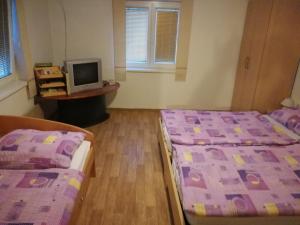 Gallery image of Apartment House Papa in Vinica