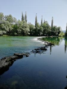 a body of water with trees in the background at Apartment House Papa in Vinica