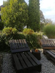 two wooden benches sitting in a garden with bushes at Apartment House Papa in Vinica