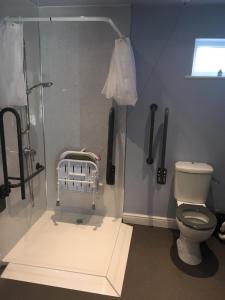 ein Bad mit einer Dusche und einem WC in der Unterkunft Swans Nest in Holmfirth