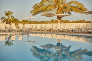 een zwembad met stoelen en parasols en een palmboom bij Monsuau Cala D'Or Hotel 4 Sup - Adults Only in Cala d´Or
