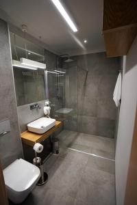 uma casa de banho com um WC, um lavatório e um chuveiro em Kamienica nr 6 em Aleksandrów Lódzki