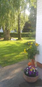 Garður fyrir utan Ferienwohnungen zum Attersee