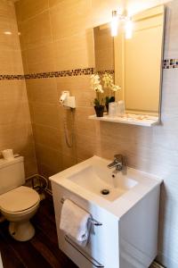 een badkamer met een wastafel, een toilet en een spiegel bij Hotel Henri IV in Sully-sur-Loire