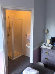 a bathroom with a shower and a toilet and a sink at The Old Alma Inn Ltd in Chilham