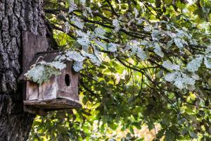 Kép Nature Guesthouse szállásáról Varsecben a galériában