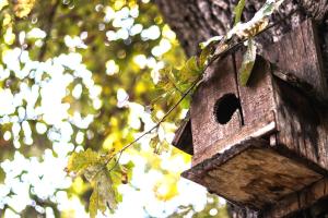 Kép Nature Guesthouse szállásáról Varsecben a galériában