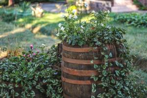 A garden outside Nature Guesthouse