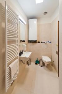 a bathroom with a sink and a toilet at Residence u Vejvodů in Prague