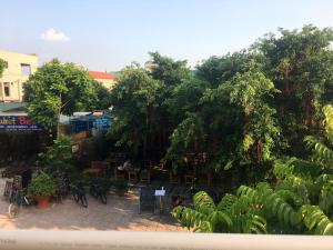 Zahrada ubytování Hoa Luan Hostel