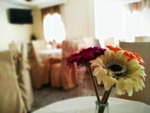 TV a/nebo společenská místnost v ubytování Filoxenia Hotel