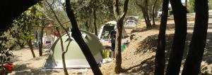 mężczyzna stojący obok namiotu w lesie w obiekcie Camping Le Soline w mieście Murlo