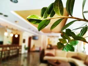 Posezení v ubytování Filoxenia Hotel