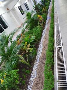 a garden with plants and rocks in a building at Hotel Casa Blanca in Chetumal