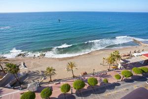 an aerial view of a beach with palm trees and the ocean at Ona Princesa Playa in Marbella