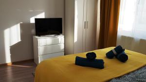 a bedroom with a bed with blue pillows and a television at Carpen View Residence in Săcele