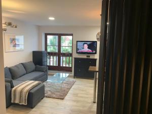 a living room with a couch and a flat screen tv at Apartamento Tahoro in La Orotava