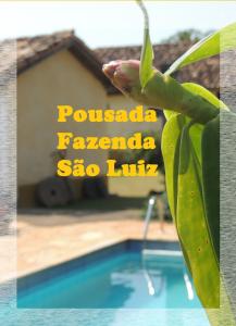 um close-up de uma planta ao lado de uma piscina em Pousada Fazenda São Luiz em São Luiz do Paraitinga