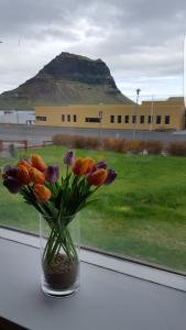 Photo de la galerie de l'établissement Guesthouse 43 Free parking, à Grundarfjörður