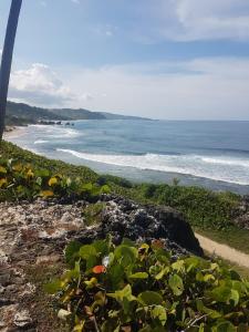 a view of the ocean from a rocky beach at Breezy Apts in Saint Philip