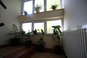 Fotografie z fotogalerie ubytování Hostel Teresianum v destinaci Aleksinac