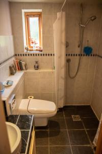 uma casa de banho com um chuveiro, um WC e um lavatório. em Churchlands em Bromyard