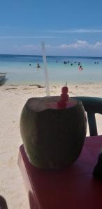 a melon sitting on a chair on the beach at Hostel Blue Sea Rincon del Mar in Rincón
