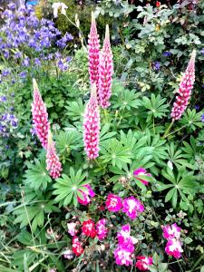 Gallery image of Serenity Motels in Pleasant Point