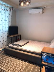 1 dormitorio con 1 cama y TV de pantalla plana en Us on Earth Guesthouse en Danyang
