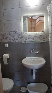 a bathroom with a sink and a toilet and a mirror at Anna Maria II in Jastrzębia Góra +38 photos