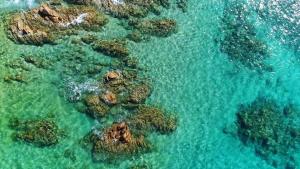 an aerial view of rocks in the water at Résidence & Hotel U Livanti ECOLABEL in Propriano