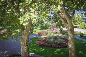 Boutique Hotel Sunrose 7 - Gourmet & SPA外面的花园