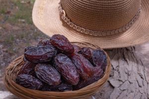 Naẖal Ya‘alonKibbutz Ketura Guest House的相册照片