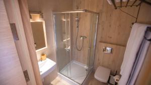 a bathroom with a shower and a toilet and a sink at Fazenda na Goncharakh in Ganʼchary